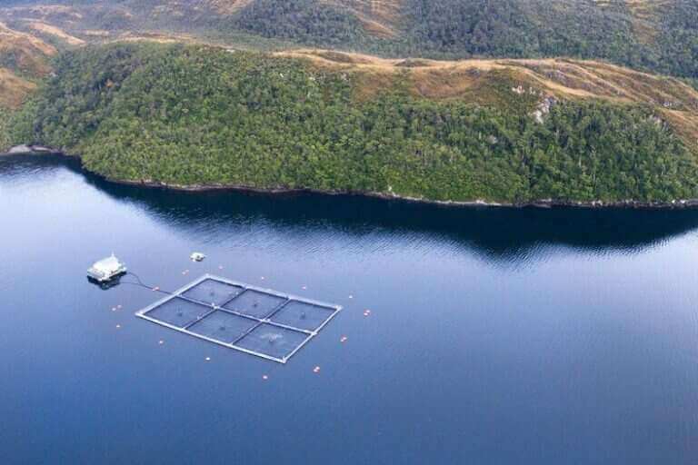 Chile adoptó nuevos requisitos ambientales para el otorgamiento de concesiones en áreas protegidas, entró en vigencia en octubre 2023.