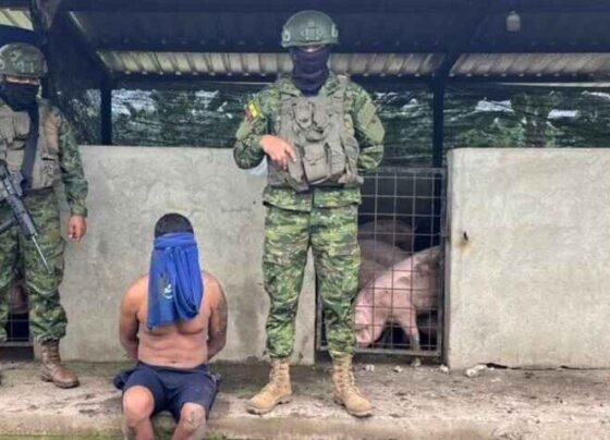 Fuerzas Armadas de Ecuador confiscan 22 toneladas de cocaína. Los militares informaron que requisaron unas 22 toneladas de cocaína en varios operativos.