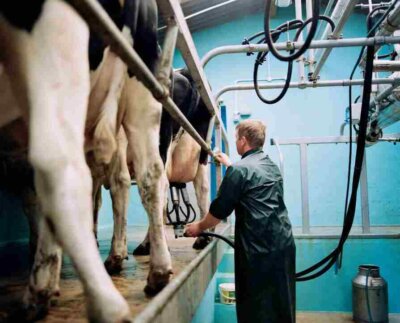 Empresas lácteas crean una alianza mundial. Seis de las empresas lácteas más grandes del mundo anunciaron la creación de una alianza internacional para reducir las emisiones de metano derivadas de su actividad industrial