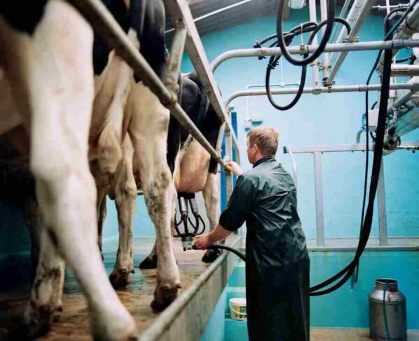 Empresas lácteas crean una alianza mundial. Seis de las empresas lácteas más grandes del mundo anunciaron la creación de una alianza internacional para reducir las emisiones de metano derivadas de su actividad industrial