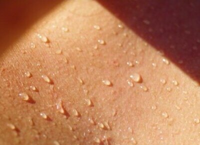 La verdad sobre nuestro sudor. Es un líquido secretado por glándulas como un medio de refrigeración corporal conocido como transpiración.