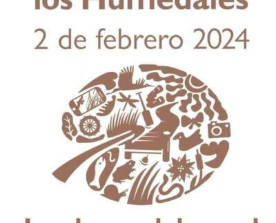 Los humedales y las personas tienen vidas entrelazadas. Los humedales son ecosistemas en los que el agua controla la vida vegetal y animal.