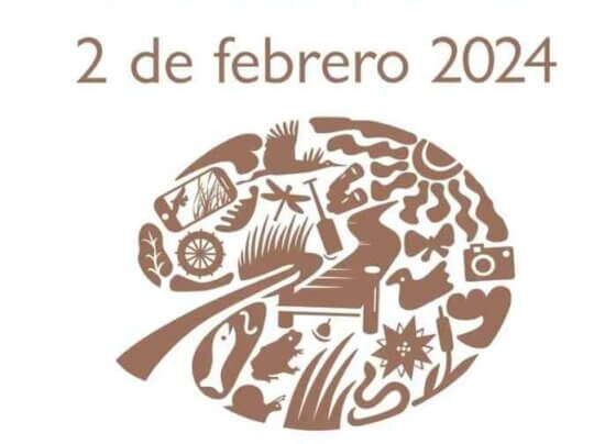 Los humedales y las personas tienen vidas entrelazadas. Los humedales son ecosistemas en los que el agua controla la vida vegetal y animal.