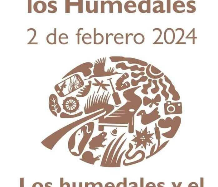 Los humedales y las personas tienen vidas entrelazadas. Los humedales son ecosistemas en los que el agua controla la vida vegetal y animal.