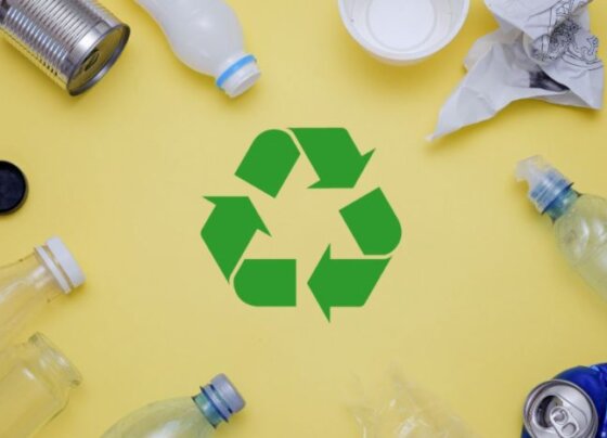 Parlamento Europeo acordó reglamentar diseño para productos sostenibles. En fecha reciente se logró un acuerdo provisional.