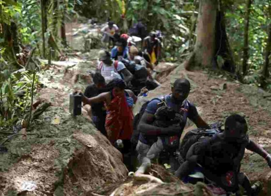 Proponen crear el Instituto Venezolano de la Diáspora. Los ponentes de un foro virtual sobre migración, organizado por el Observatorio.