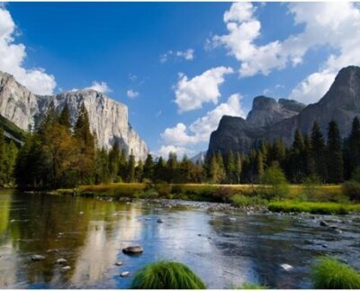 América es el continente con mayor biodiversidad del mundo, seguido por algunos países de Asia, de África y por Australia y la isla de Papúa.