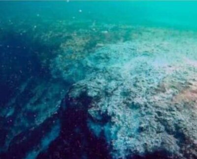 Revelan misterio de Gran Agujero Azul en Belice. Un cráter en las profundidades cuya creación o función dentro del ecosistema es un enigma .