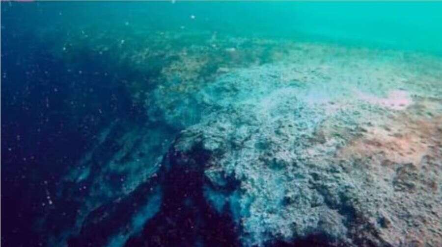 Revelan misterio de Gran Agujero Azul en Belice. Un cráter en las profundidades cuya creación o función dentro del ecosistema es un enigma .