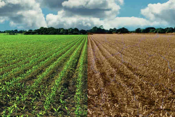 Las malas prácticas agrícolas son un problema muy importante al que no se le da toda la importancia que merece. El cambio climático.