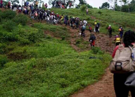 Prohíben a Médicos Sin Fronteras atender migrantes del Darién. La ONG Médicos Sin Fronteras (MSF) anunció que el Gobierno de Panamá le obligó a suspender sus actividades humanitarias en la selva del Darién.