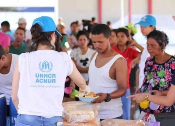 La Defensoría del Pueblo de Venezuela y el Alto Comisionado de las Naciones Unidas para los Refugiados (Acnur) firmaron una carta de entendimiento en la que ambas instituciones se comprometen a trabajar en la promoción y protección de los derechos humanos de las personas refugiadas que se encuentran en el país.