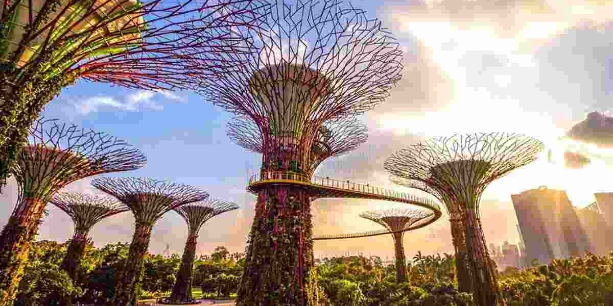 Los superárboles son las estructuras más icónicas del parque. Estos 18 gigantes de entre 25 y 50 metros de altura, además de dotar la atmósfera con un aire mágico, están envueltos por un jardín vertical exterior