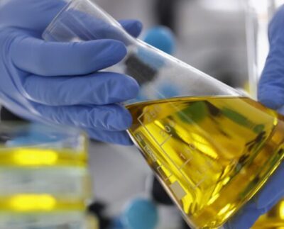 Petición de prohibir biocombustible de soja crea tensiones. La Unión Europea había desarrollado el primer combustible ecológico de la historia, pero ahora un grupo de ecologistas está en pie de guerra para prohibirlo.