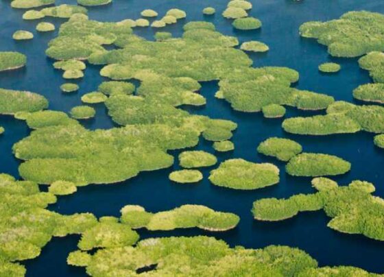 34 países firmaron acuerdo de protección del agua dulce. En un importante impulso a los esfuerzos mundiales para mitigar el cambio climático y adaptarse a sus efectos cada vez peores