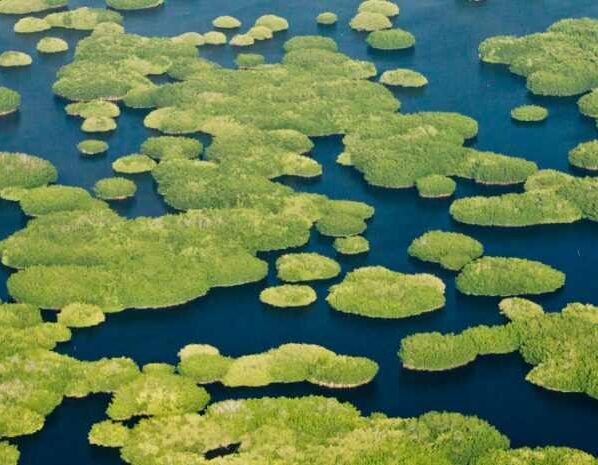 34 países firmaron acuerdo de protección del agua dulce. En un importante impulso a los esfuerzos mundiales para mitigar el cambio climático y adaptarse a sus efectos cada vez peores