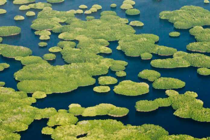 34 países firmaron acuerdo de protección del agua dulce. En un importante impulso a los esfuerzos mundiales para mitigar el cambio climático y adaptarse a sus efectos cada vez peores