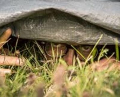 Otra razón que explica la gruesa irreverencia de gobiernos autoritarios hacia el más auténtico significado vocablos como “patria”, “soberanía” o “estado de derecho”, entre otros