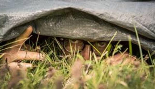 Otra razón que explica la gruesa irreverencia de gobiernos autoritarios hacia el más auténtico significado vocablos como “patria”, “soberanía” o “estado de derecho”, entre otros