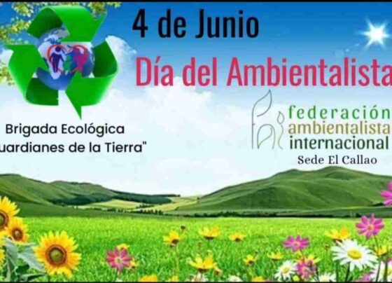 Día del ambientalista