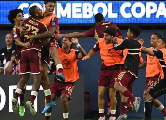 Vinotinto