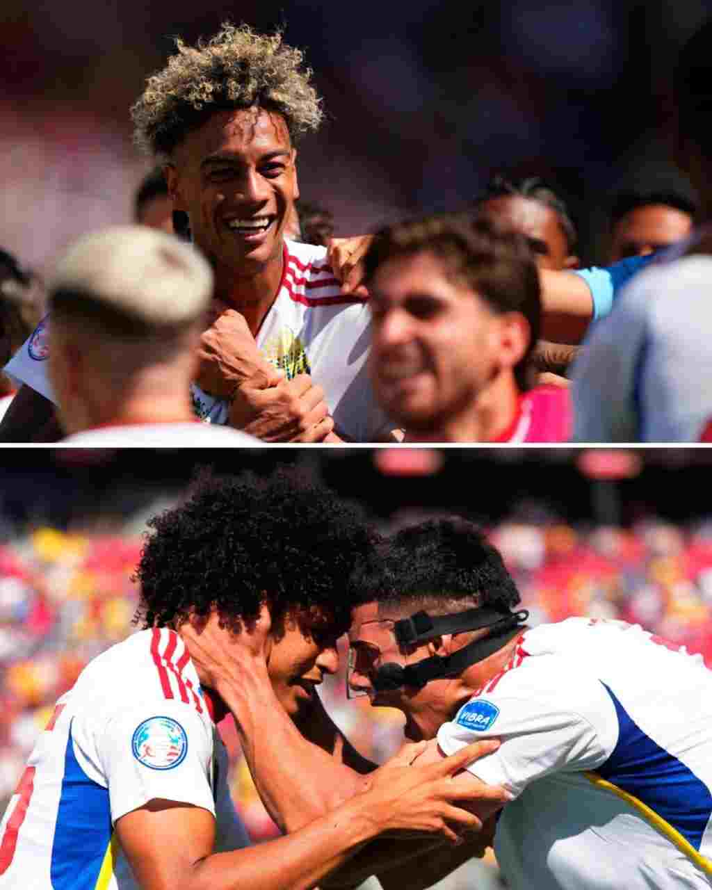 Vinotinto