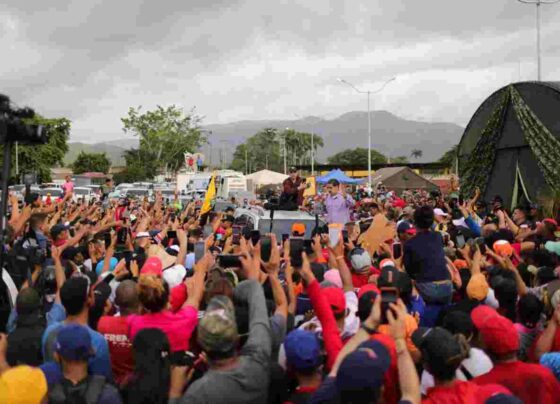 Cumanacoa
