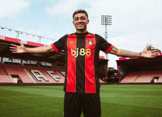 araujo