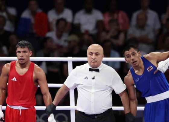 boxeador
