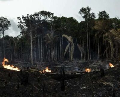 incendios forestales