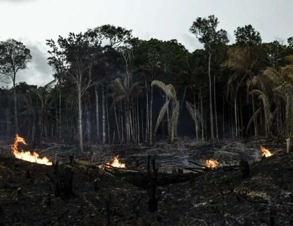 incendios forestales