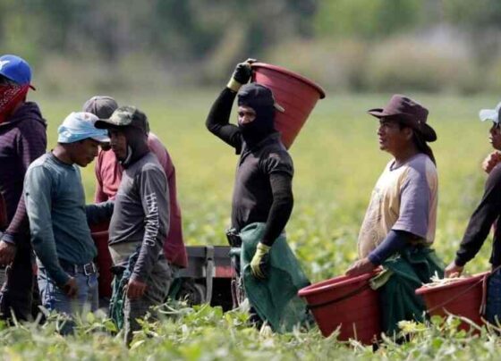 indocumentados