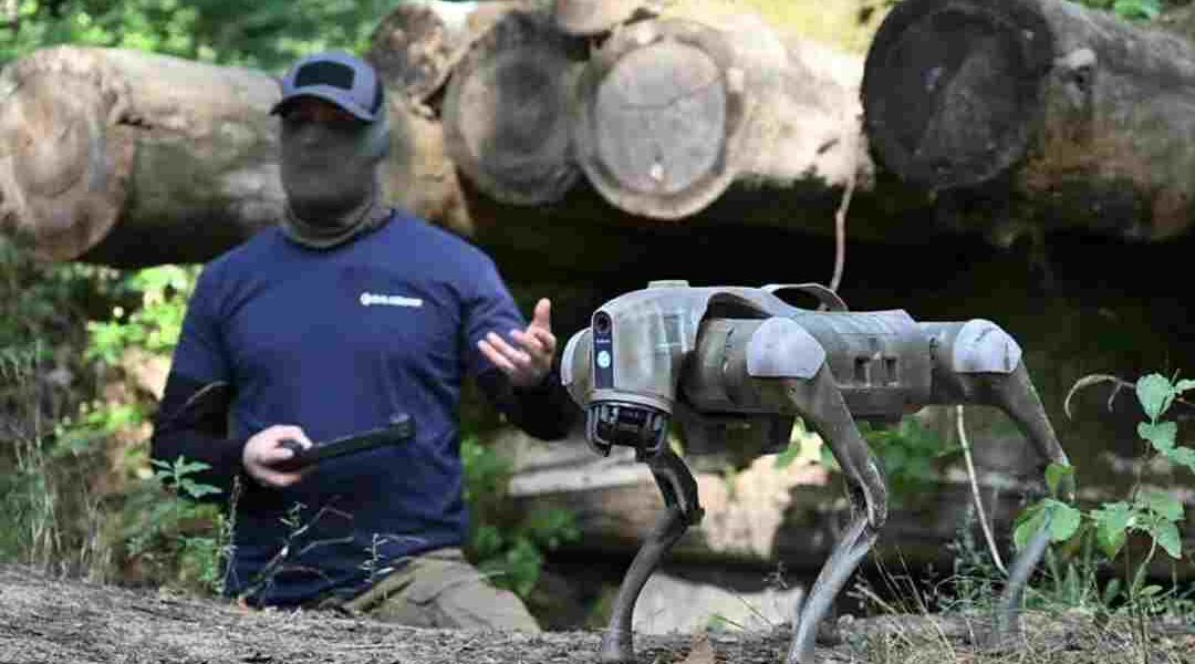 perros robot