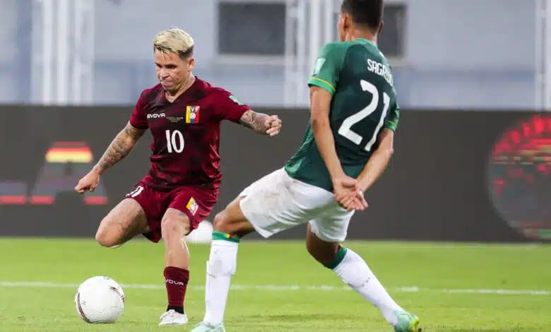 vinotinto