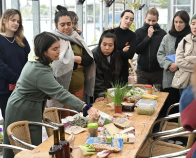 The Gramounce _heydiariodigital