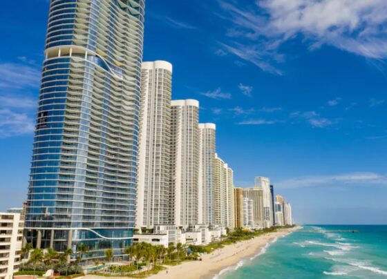 Heydiariodigital_Miami_hegodis