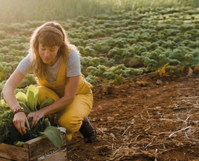 agricultura-de-espana-heydiariodigital