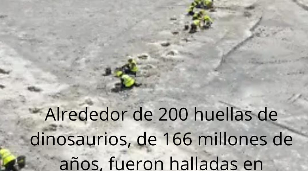 huellas_de_dinosaurios