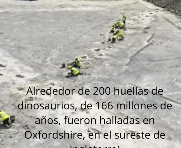 huellas_de_dinosaurios