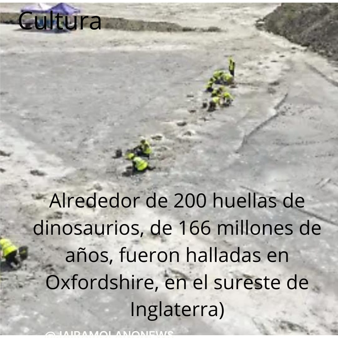 huellas_de_dinosaurios