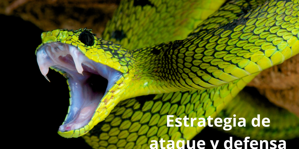 heydiariodigital