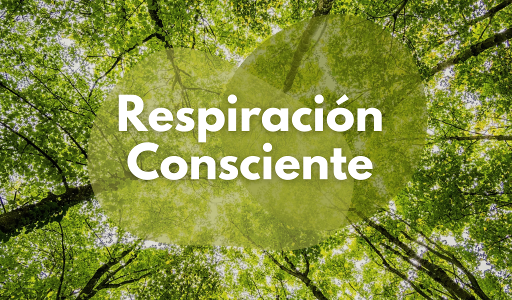 repiracion consciente