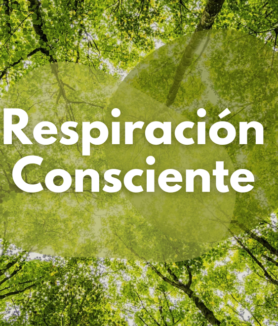 repiracion consciente
