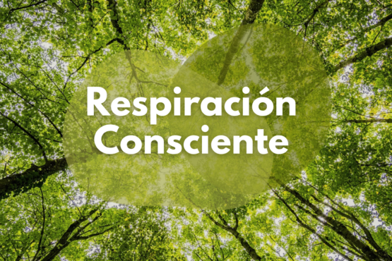 repiracion consciente