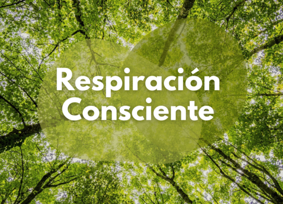 repiracion consciente