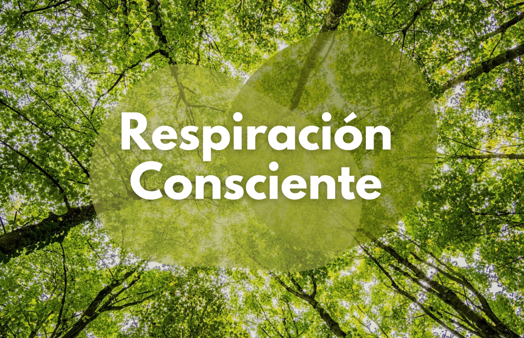 MENTE SANA EN CUERPO SANO